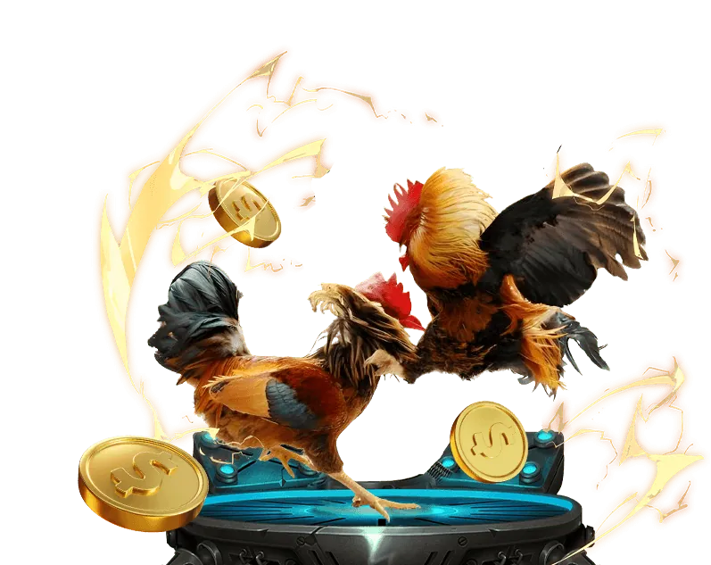 Giao diện cá cược đá gà trực tuyến thân thiện tại 777bet